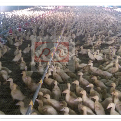 �B(y��ng)���O��-ˮ��