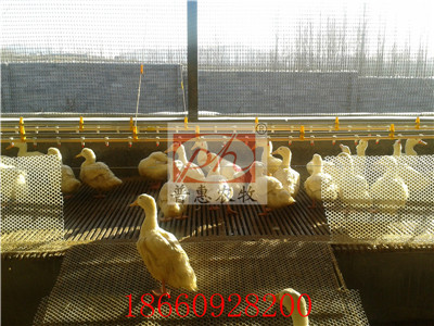 �B(y��ng)���O��-ˮ��