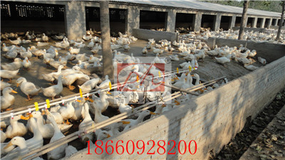 �B(y��ng)���O��-ˮ��