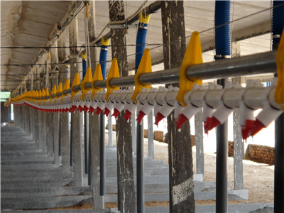 �B(y��ng)���O��-�� ˮ��