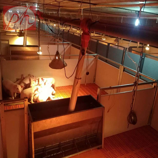 ������,С�i�����ᣬ�߶˱�����λ�����ر�����